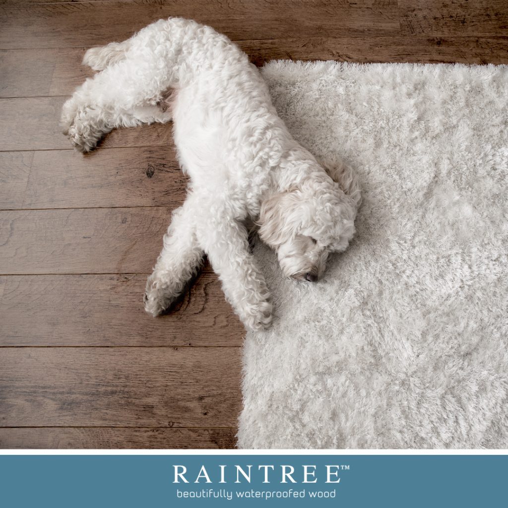 Pet-friendly flooring in Hermitage from Raintree Floors